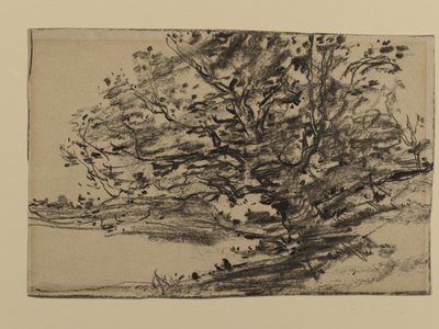 Study of Trees, 1870 (grafitt på papir) av Joseph Frank Currier