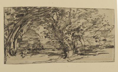 Study of Trees, 1870 (grafitt på papir) av Joseph Frank Currier