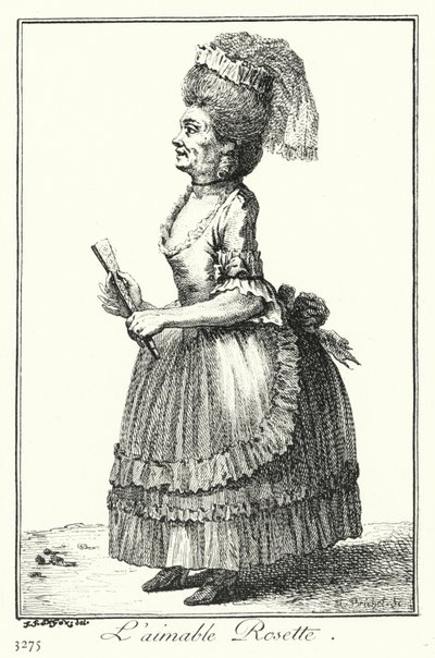 Den vakre rosetten (gravering) av Joseph Franz von (after) Goez