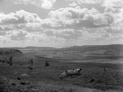  av Joseph Hardman