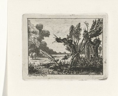 fjellvidjer av Joseph Hartogensis