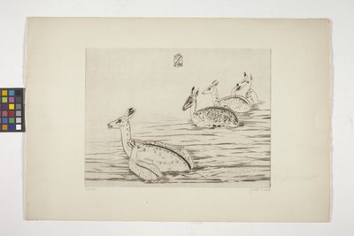 Cerfs Indochinois I (Indokinesisk hjort I) (gravering på kremvevd papir) av Joseph Hecht