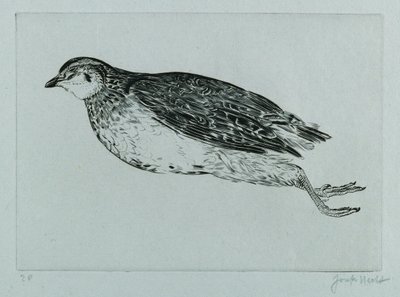 Dead Partridge (La Perdrix) (gravering) av Joseph Hecht