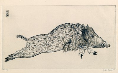 Villsvin (Le Sanglier) (gravering) av Joseph Hecht