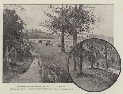 Churchyard Bottom Wood, Highgate, hvis spoliering er under diskusjon av Joseph Holland Tringham