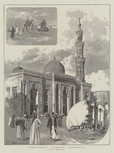 Livet i Egypt av Joseph Holland Tringham