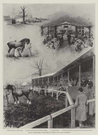 Salg av Shire-hester på Prince of Wales Stud-Farm, Wolferton av Joseph Holland Tringham