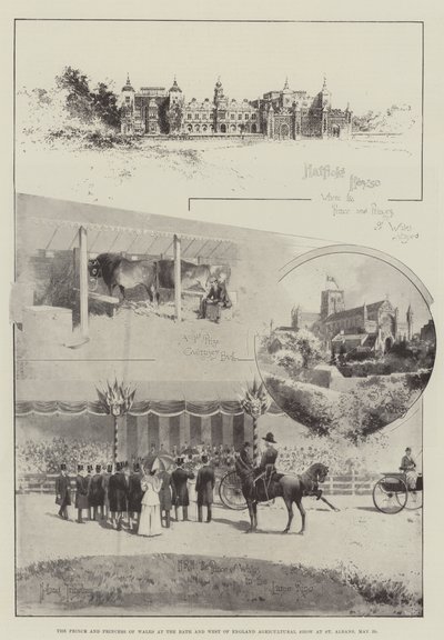 Prinsen og prinsessen av Wales på Bath and West of England Agricultural Show på St Albans, 29. mai av Joseph Holland Tringham