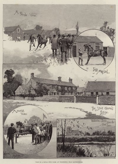 Besøk til en Royal Stud Farm, ved Wolferton, nær Sandringham av Joseph Holland Tringham