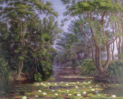 River Cherwell Waterlilies, 1851 av Joseph Mallord William Turner