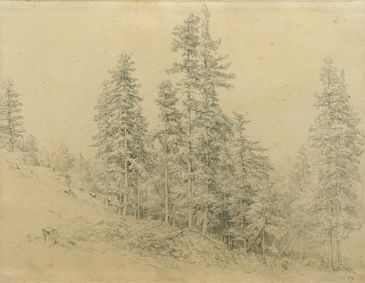 Kostbar tann av Joseph Martin Höger