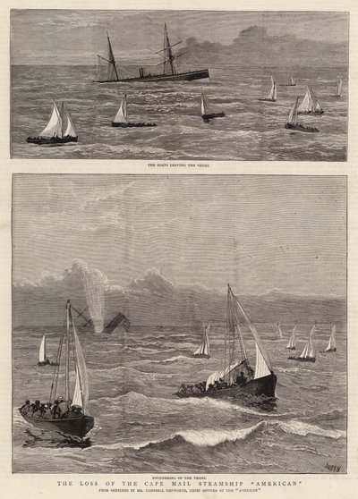 Tapet av Cape Mail Steamship American av Joseph Nash