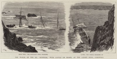 Vraket av SS Suffolk, med storfe om bord, ved Lizard Head, Cornwall av Joseph Nash
