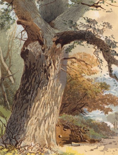  av Joseph Needham