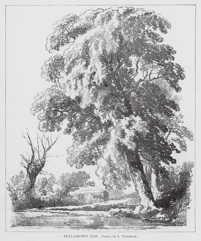  av Joseph Needham
