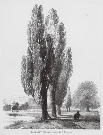  av Joseph Needham