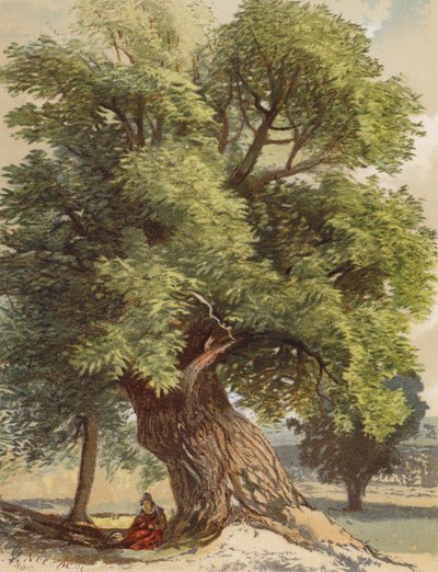  av Joseph Needham