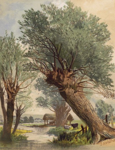  av Joseph Needham