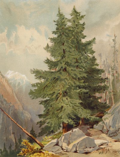  av Joseph Needham