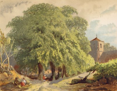  av Joseph Needham