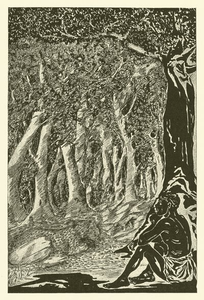 Leoparden og etiopieren (gravering) av Joseph Rudyard (after) Kipling