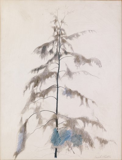  av Joseph Stella