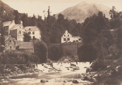 Cedar Village, Gavarnie Road, 1853. av Joseph Vigier