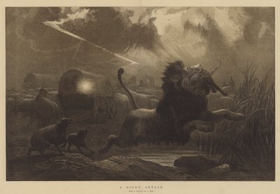 Et nattangrep av Joseph Wolf