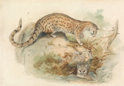 ryttere av Joseph Wolf