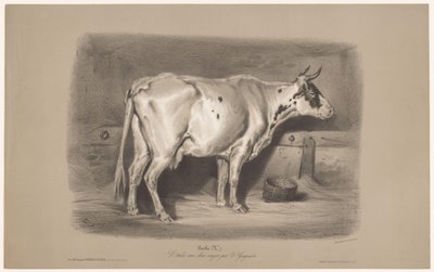 Ku i stall Vache (tittel på objekt) Dyrestudier i to typer kritt (serietittel) Etude aux deux fargestifter av Z. Gengembre (serietittel på objekt) av Joseph Zephyris Gengembre