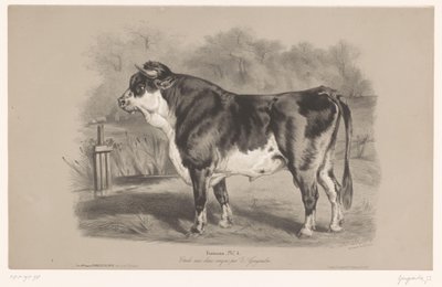 Okse på en eng Taureau (tittel på objekt) Dyrestudier i to typer kritt (serietittel) Etude aux deux fargestifter av Z. Gengembre (serietittel på objekt) av Joseph Zephyris Gengembre