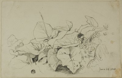 Klump av blader og blomster av Joshua Cristall