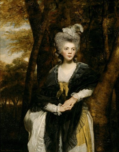  av Joshua Reynolds