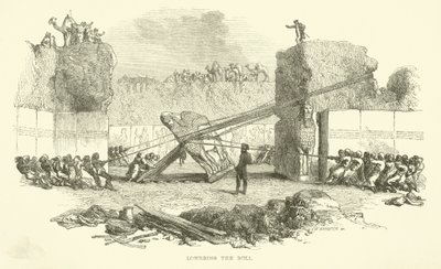 Senker oksen av Josiah Wood Whymper