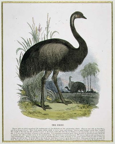 The Emu, pedagogisk illustrasjonspub. av Samfundet for Fremme av Kristendomskunnskap av Josiah Wood Whymper