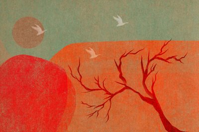 Ørkenfugler ved solnedgang av Josie George