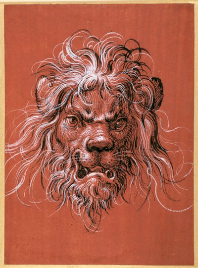 Løvehode (penn og blekk med gouache på papir) av Jost Amman
