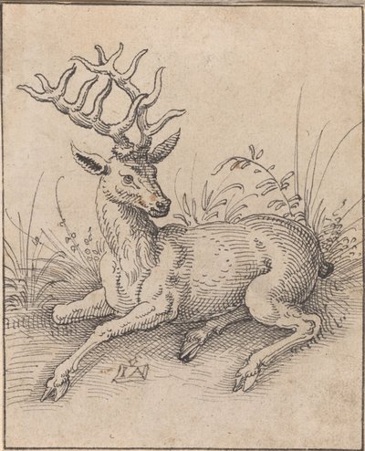 The Stag av Jost Amman