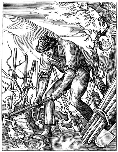 Vinmaker, 1500-tallet 1849. av Jost Amman