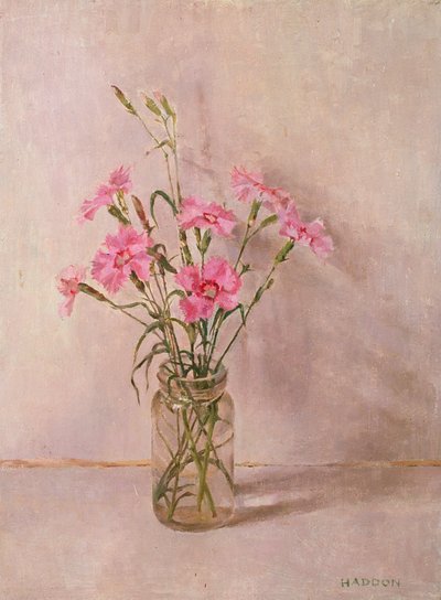 Rosa i en glasskrukke av Joyce Haddon