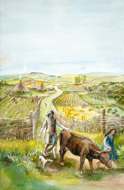 Landlig landskap, 2000 f.Kr., c1990-2010 av Judith Dobie