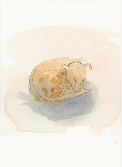 Sovende hund, 2003. av Judith Dobie