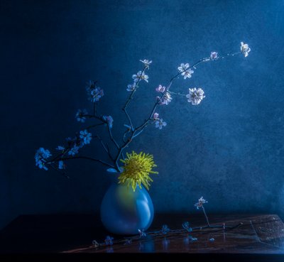  av Judy Tseng
