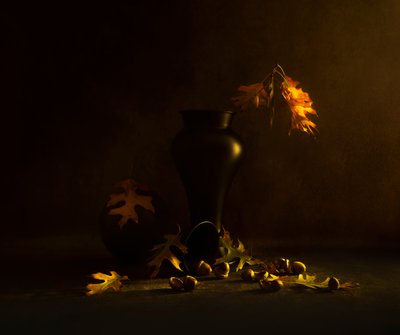  av Judy Tseng