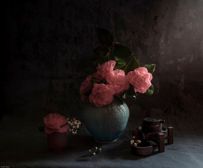  av Judy Tseng