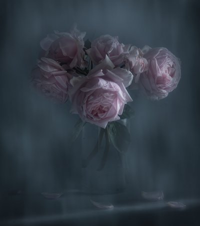  av Judy Tseng