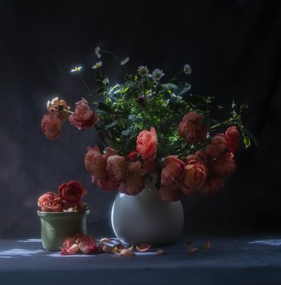  av Judy Tseng
