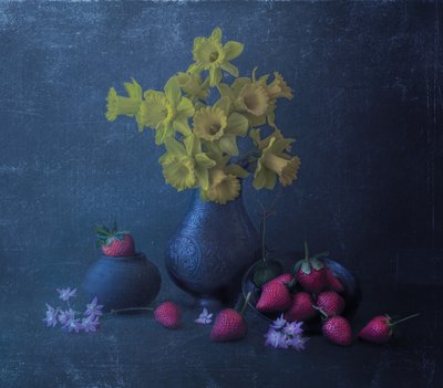  av Judy Tseng