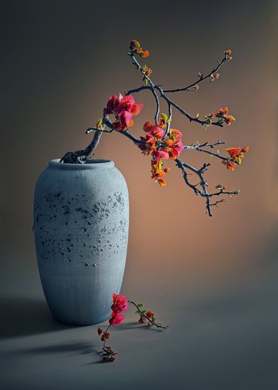  av Judy Tseng