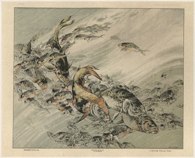 Fishes, plate 7 fra 